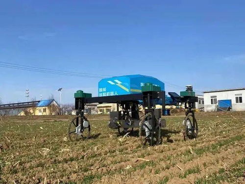 農業(yè)產業(yè)周報 科技賦能，龍頭領航——聚焦中糧、極飛、克明、牧原與行業(yè)研發(fā)新動態(tài)